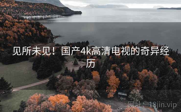 见所未见！国产4k高清电视的奇异经历