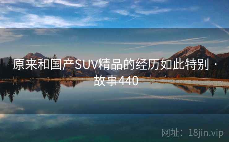 原来和国产SUV精品的经历如此特别 · 故事440