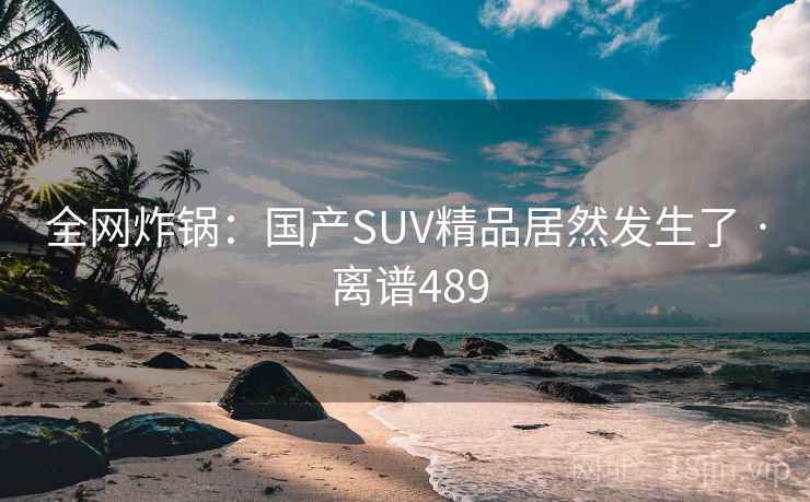 全网炸锅：国产SUV精品居然发生了 · 离谱489